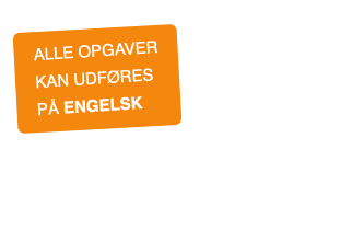 opgaver på engelsk