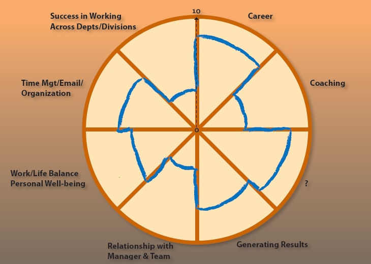 Professional Wheel of Life
